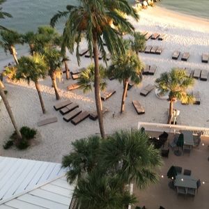 Meet your Posher, Eve